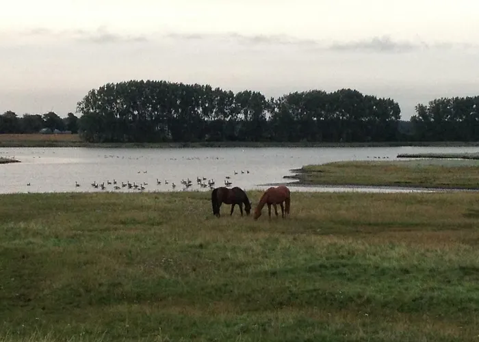 Ferienwohnung Ostseeblick
