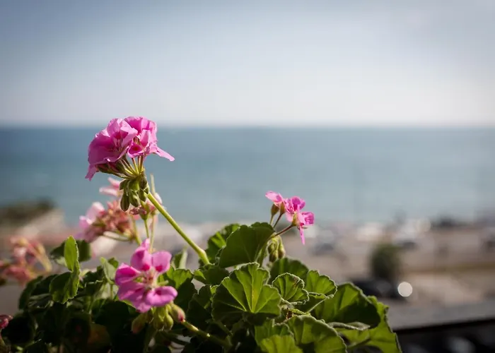 Salsedine Sea View