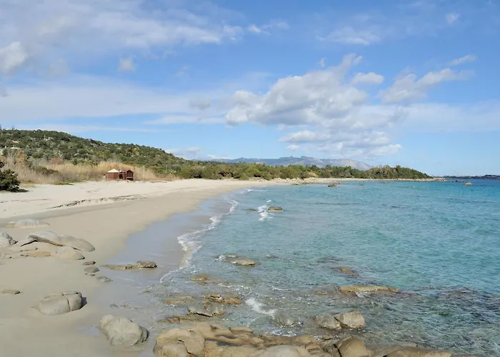 Bed&Breakfast La Pavoncella